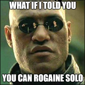 What if I told you that you can rogaine solo?